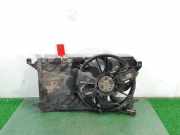 Kühlerventilator 3135103905 Ford C-MAX (CAP) Trend (D) 109 CV / 80 KW