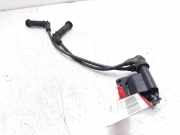 Zündspule 2730102700 Kia Picanto (BA) Schrägheck 1.1 12V (G4HG)