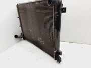 Radiator 253101D200 Kia (UN) Concept 113 CV / 83 KW