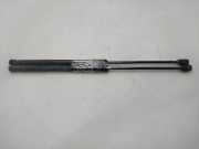 Gasdruckfedern Set Hinten 9801060880 Citroën DS4 (NX) Schrägheck 1.6 e-Hdi 16V 110 (DV6C(9HR))