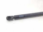 Gasdruckfedern Set Hinten 8731C0 Citroën CITROEN 1.5 D X 57 CV / 42 KW