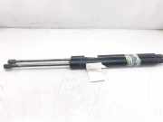 Gasdruckfedern Set Hinten 7M0827550F Ford (VY) Ambiente 90 CV / 66 KW