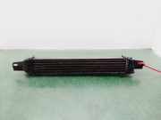 Ladeluftkühler 51790623 Peugeot Bipper (AA) Van 1.3 HDI (199.A.9000)