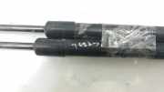 Gasdruckfedern Set Hinten C10062620D Mazda Premacy Großraumlimousine 1.8 16V Exclusive HP (FP)