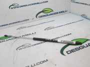 Gasdruckfedern Set Hinten 873193 Peugeot BERLINA 1.4 Generation 75 CV / 55 KW