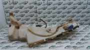 Scheibenwaschbehälter 4M5113K163 Ford Focus 2 Schrägheck 1.8 TDCi 16V (KKDA)