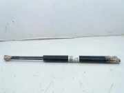 Gasdruckfedern Set Hinten 51248402405 BMW (E53) 3.0i 231 CV / 170 KW