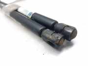 Gasdruckfedern Set Hinten 7700838612 Renault I FASE 2 CLASSIC (LA..) 1.9 dCi Dynamique 102 CV / 75 KW