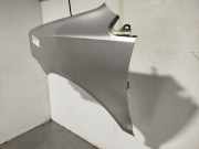 Kotfl?gel Links Vorne 6Q0821105E Volkswagen Polo IV (9N1/2/3) Schr?gheck 1.4 16V (BUD) BUD