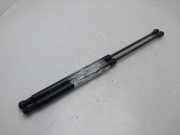 Gasdruckfedern Set Hinten 8200299546 Renault Clio III (BR/CR) Schrägheck 1.5 dCi 85 (K9K-766)