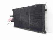 Radiator 1330W2 Peugeot 406 Coupé (8C) Coupé 2.0 16V (EW10J4(RFN))