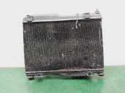 Radiator 8V518005DG Ford Fiesta VII Schrägheck 1.6 TDCi 16V 95 (TZJA)