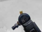 Kraftstoff-Injector 8200294788 Renault Sc?nic II (JM) Gro?raumlimousine 1.5 dCi 105 (K9K-732)