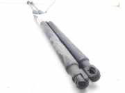 Gasdruckfedern Set Hinten AM51U406A10AB Ford Grand C-Max (DXA) Großraumlimousine 1.6 TDCi 16V (T1DA)