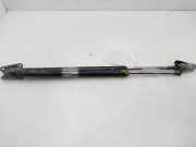 Gasdruckfedern Set Hinten 68950440 Toyota Picnic (XM10) Großraumlimousine 2.2 TD GL,GX (3CTE)