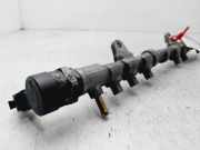 Einspritzdüsen Düsenstock 55215210 Fiat Doblo Cargo (223) Van 1.3 D 16V Multijet (199.A.2000)