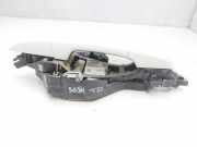 Türgriff Außen Ra DK6224994GE Land + Range Rover Range Rover Sport (LW) Geländewagen 3.0 TDV6 (306DT)