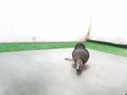 Antriebswelle Links Vorne 13250834 Opel Astra J (PC6/PD6/PE6/PF6) Schrägheck 5-drs 1.7 CDTi 16V 125 (A17DTR)