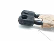 Gasdruckfedern Set Hinten 8200377199 Renault Grand Scénic II (JM) Großraumlimousine 1.5 dCi 105 (K9K-732)