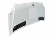 Motorhaube 9068800257 Mercedes-Benz SPRINTERII CAJA CERRADA (DESDE 01.06) 310/313/316 CDI (906.631/633/635/637) 129 CV / 95 KW