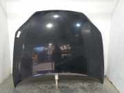 Motorhaube 4L0823029A Audi Q7 (4LB) SUV 3.0 TDI V6 24V (BUG)