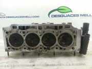 Zylinderkopf F9S05 Renault II (BG0) 1.9 dCi Diesel FAP CAT 110 CV / 81 KW