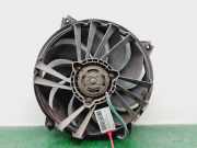 Kühlerventilator 1253C8 Citroën Berlingo Van 1.9 Di (DW8B(WJY))