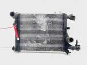 Radiator 253101C106 Hyundai Getz Schrägheck 1.1i 12V (G4HD)