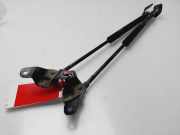 Gasdruckfedern Set Hinten 51247060622 BMW 1 serie (E87/87N) Schrägheck 5-drs 120i 16V (N46-B20B)