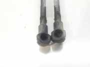 Gasdruckfedern Set Hinten 51248254281 BMW 3 serie (E46/4) Limousine 318i (M43-B19(19 4 E1))