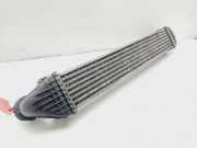 Ladeluftkühler A1695000000 Mercedes-Benz A (W169) Schrägheck 2.0 A-160 CDI 16V (OM640.942)