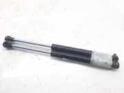 Gasdruckfedern Set Hinten 7700838612 Renault I FASE 2 CLASSIC (LA..) 1.9 D Expression 80 CV / 59 KW