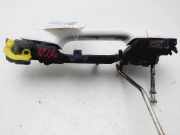 Türgriff Außen Links Vorne 6921174020B0 Toyota Prius (ZVW3) Schrägheck 1.8 16V (2ZRFXE)