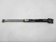 Gasdruckfedern Set Hinten 817713E021 Kia 2.5 CRDi EX 140 CV / 103 KW