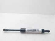 Gasdruckfedern Set Hinten A2517400045 Mercedes-Benz R (W251) Großraumlimousine 3.5 350 V6 24V 4-Matic (M272.967)