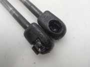 Gasdruckfedern Set Hinten 9633908780 Peugeot 206 (2A/C/H/J/S) Schrägheck 1.4 XR,XS,XT,Gentry (TU3JP(KFW))
