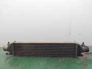 Ladeluftkühler 51783791 Fiat Bravo (198A) Schrägheck 1.9 JTD Multijet (192.A.8000)