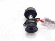 Lichtmaschine Riemenscheibe 1S4Q100382AD Ford Focus 1 Limousine 1.8 TDdi (C9DA)