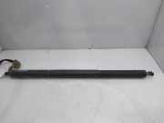 Gasdruckfedern Set Hinten 68231347AC Jeep Grand Cherokee (WK/WK2) SUV 3.0 CRD V6 24V (EXF) 2017