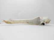 Scheibenwaschbehälter 7701707879 Renault Megane Classic (LA) Limousine 1.9 dTi (F9Q-744)