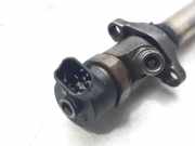 Kraftstoff-Injector 0445110188 Peugeot 307 BREAK / SW (S1) SW PACK 109 CV / 80 KW