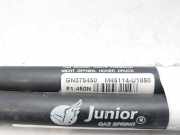 Gasdruckfedern Set Hinten J48113U1997 Citroën C6 (TD) Limousine 2.7 HDiF V6 24V (DT17TED4(UHZ))