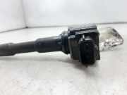 Zündspule 224332428R Nissan Pulsar (C13) Schrägheck 1.2 12V DIG-T (HRA2)