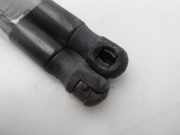 Gasdruckfedern Set Hinten 1Z5827550 Skoda Octavia (1Z3) Liftback 1.6 TDI Greenline (CAYC)
