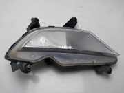Nebelscheinwerfer Rechts Vorne 92202C8100 Hyundai i20 (GBB) Schrägheck 1.1 CRDi VGT 12V (D3FA)