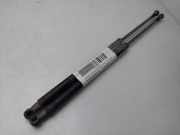Gasdruckfedern Set Hinten 517854120 Fiat 500 (312) Schrägheck 0.9 TwinAir 85 (312.A.2000)