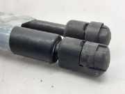 Gasdruckfedern Set Hinten 8731F6 Citroën CITROEN BERLINA 2.0 HDi Magic 109 CV / 80 KW