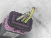 Einspritzdüsen Düsenstock 1S4Q9D280AB Ford Focus 1 Schrägheck 1.8 TDCi 115 (F9DA)