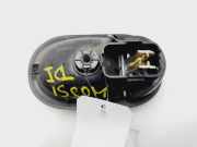 Türgriff Innen Links Vorne 8200310579 Renault Clio III (BR/CR) Schrägheck 1.2 16V TCe 100 (D4F-784)