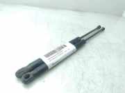 Gasdruckfeder Set Vorne 08410500 Kia Carnival 2 (FIB/FLD) Großraumlimousine 2.9 HPDi 16V (J3(CRDI))